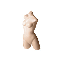 Torso Form