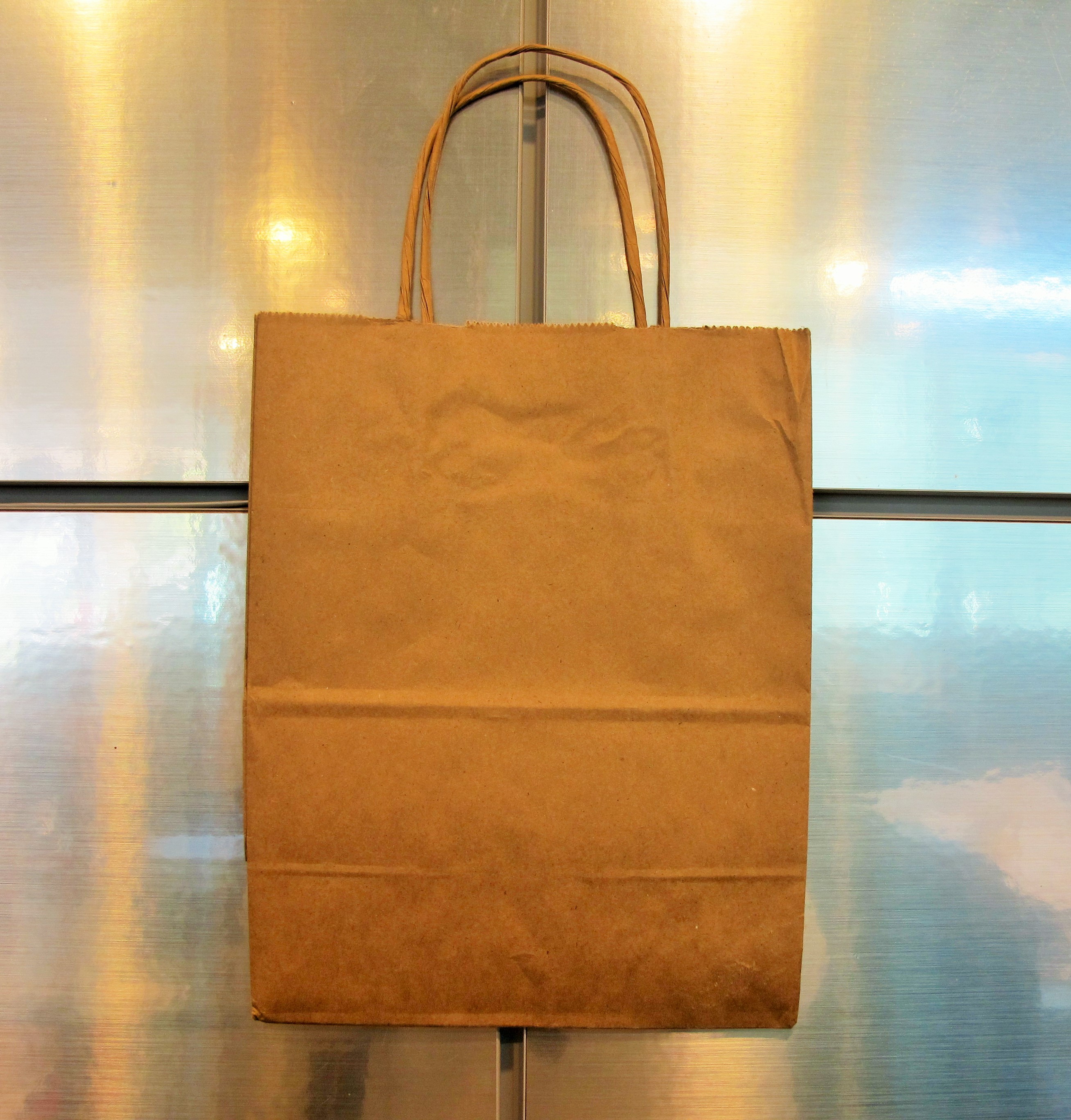 Paper Shopping Bag (8" x 4 3/4" x 10 1/4")